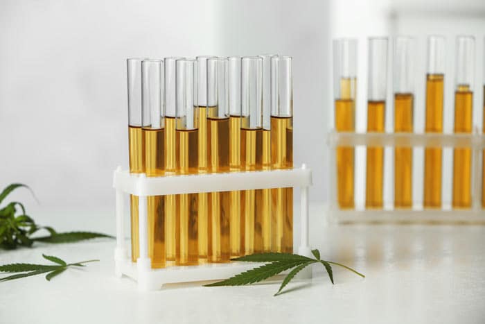 Water Activity in Cannabis