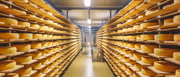 CLIMATE MEASUREMENT IN CHEESE PRODUCTION