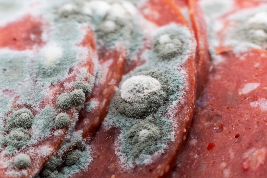 Water Activity in Meat