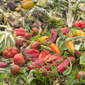 climate control in fruit and vegetable
